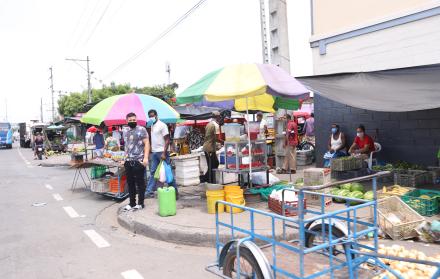 Comercio en Guayaquil (31461896)