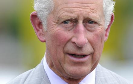 Prince Charles infect (31501533)