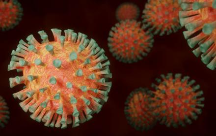 Coronavirus. Imagen de stock de Pixabay. 8 de junio de 2020.