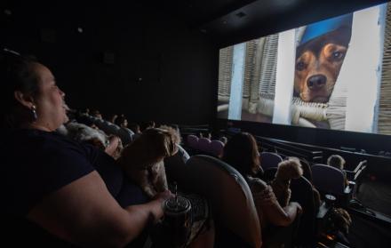 Salas-De-Cine_Reactivación