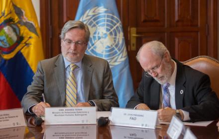 El vicecanciller se encuentra en una visita diplomática en España.