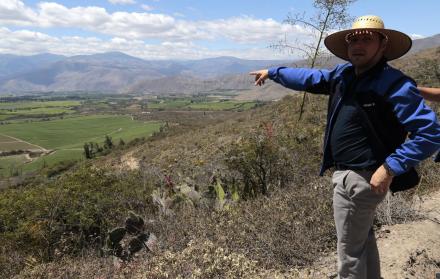 Recorrido. El gerente Adrián Zambrano muestra las plantaciones de espárragos y de alfalfa que están ubicadas en los terrenos de la empresa Yachay.