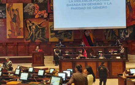 Verónica Aguirre, defensora del Pueblo adjunta, durante su intervención este martes en el pleno de la Asamblea.