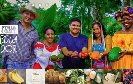 El interés ahora no solo está en consolidar las ventas de este grupo de productos, sino la de buscar mercados.