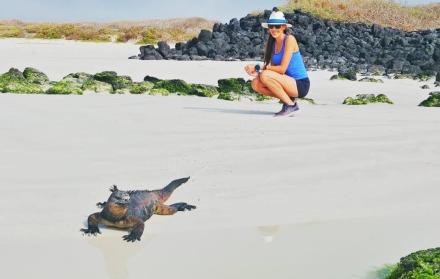 Existen 14 normas para cumplir con un turismo adecuado, la campaña se centra en las más importante sobre todo la que determina que los visitantes deben mantenerse a una distancia de dos metros de la fauna silvestre.