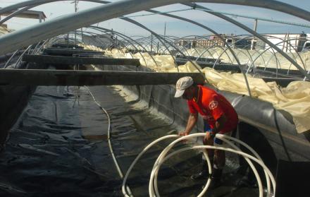 Escenario. En el país existen 230.000 hectáreas de cultivo. La proyección es electrificar hasta 60.000.