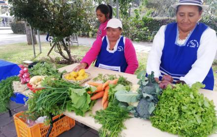 Su consumo puede ser variado. Se advierte desinfectar las hortalizas antes de prepararlas.