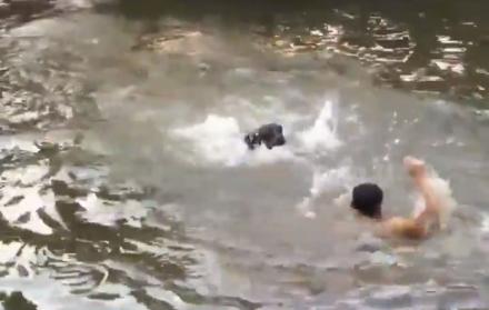 El perro da un salto para rescatar a su dueño.