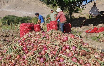 Antes, los campesinos vendían a 20 dólares el saco, ahora pierden por el creciente contrabando desde el Perú.