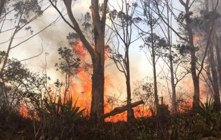 El incendio no ha podido ser apagado en su totalidad.