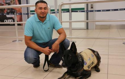 Otro perro llegó a Ecuador para combatir al hongo raza 4.