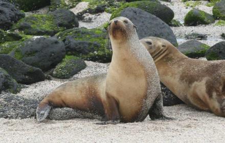 La observación de flora y fauna deberá ser acompañada de guías especializados.