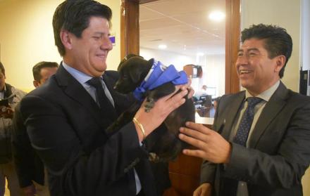 Instituciones del municipio de Quito recibieron a sus nuevas mascotas. 