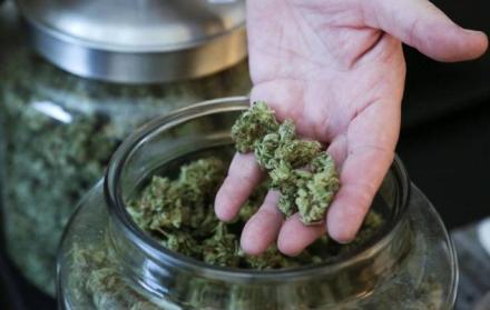 El uso terapéutico de la marihuana es legal en 34 de los 50 estados de Estados Unidos y el recreativo, en 10.