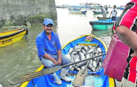 Faena. Un grupo de pescadores artesanales llegan con la pesca realizada durante la madrugada.