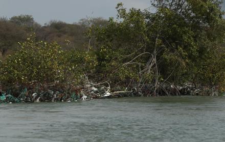 Ecosistema. Los desperdicios se enredan en el manglar.