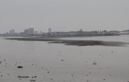 Compromiso. El 17 de abril de 2018, la Prefectura del Guayas y Serdra firmaron el contrato para dragar el río Guayas, en el área del islote El Palmar.