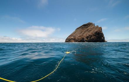 Investigadores sumergen un robot acuático con cámara para analizar el fondo marino de Galápagos.