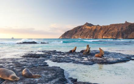 El archipiélago de Galápagos fue declarado como Patrimonio Natural de la Humanidad por la Unesco en 1978.