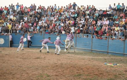 Los campesinos de las haciendas demostraron cómo se monta una vaca ante la mirada de asombro del público.