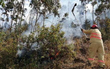 El fuego ha sido controlado oportunamente en la mayoría de los casos.