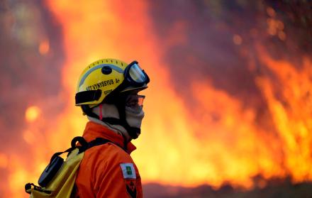 El número de focos de fuego en lo que va de este año es en un 83 % superior al del mismo período de 2018.