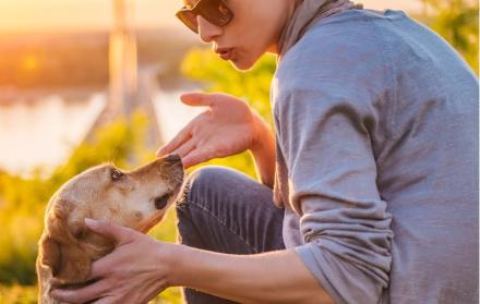 Hablarle a la mascota... es de inteligentes