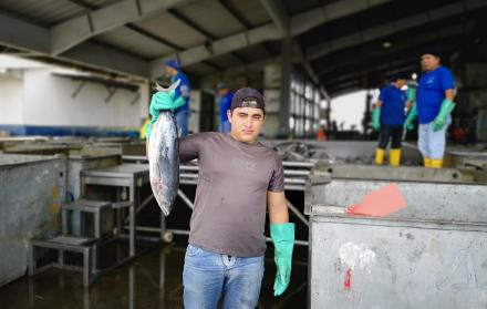 Control. La legislación ecuatoriana garantiza el pago de todas las prestaciones a quienes trabajan.