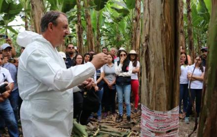 Referencial. Los pequeños productores plataneros también recibieron recomendaciones. (Cortesía)