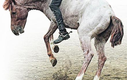 Destreza. Héctor Miño demostró su habilidad al momento de domar un caballo.