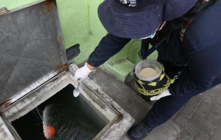 Campaña. En Guayaquil, el personal del MSP realiza brigadas para eliminar los criaderos de mosquitos.