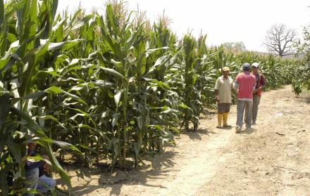 Los suelos agrícolas preocupan la región