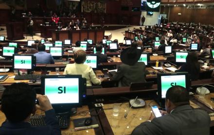 La titular del Legislativo, Elizabeth Cabezas, será investigada por asambleístas de los movimientos Revolución Ciudadana, Fuerza Ecuador y Alianza PAIS.