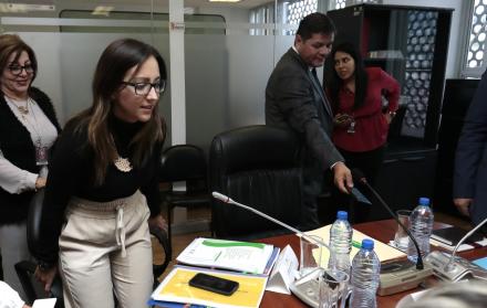 Cita. La ministra Verónica Espinosa llegó primero a la Comisión de Salud presidida por William Garzón (AP).