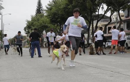 Amos y mascotas corren en el Perrorun de 2018.