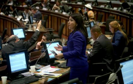 Ponente. La oficialista Ximena Peña sobrevivió a los intentos, encabezados por Roberto Gómez, de CREO, de deponerla como ponente del proyecto.
