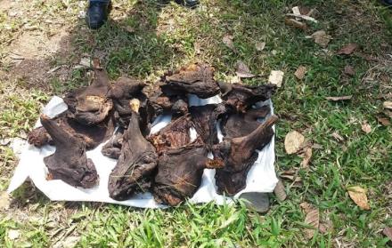 Las autoridades mostraron parte de la carne decomisada.