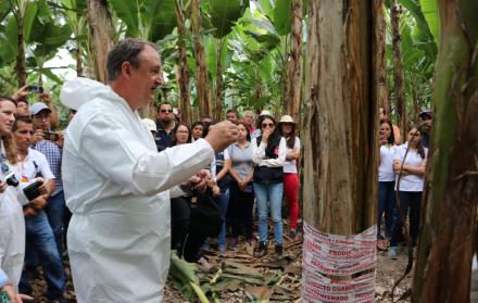 Los pequeños productores plataneros también recibieron recomendaciones. 