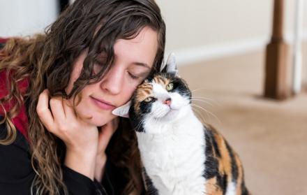 Los dueños de los felinos tuvieron que realizar diferentes test donde determinaron su inestabilidad emocional, simpatía, entre otros factores.