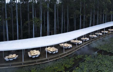 Los autores del proyecto decidieron eliminar los límites verticales (sin paredes) que puedan distorsionar la visual de los comensales.