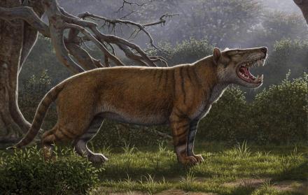 Reconstrucción facilitada por el Museo Nacional de Nairobi, de una nueva especie de mamífero gigante que pobló la Tierra hace unos 22 millones de años.