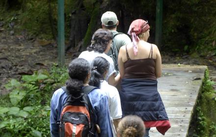 El Parque Nacional Podocarpus está ubicado en las provincias de Loja y Zamora Chinchipe, cuya oferta turística se promocionó en Perú.