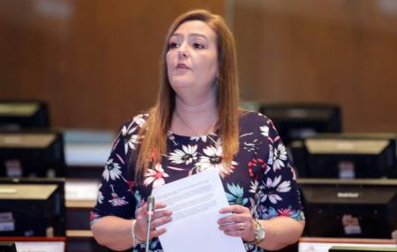 Lourdes Cuesta, vocal de la Comisión de Justicia, fue quien propuso el proyecto.