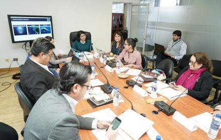 La actividad se realizó el martes 29 de octubre de 2019, en el marco del estudio de la objeción parcial al proyecto de reformas al Código Orgánico Integral Penal (COIP).