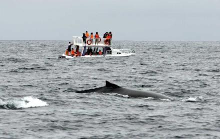 Las naves dedicadas a la observación deben cumplir una serie de normas.