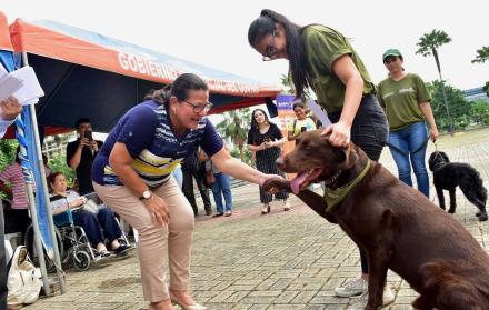 Las mascotas adquirieron adiestramientos canino y convivencia responsable.
