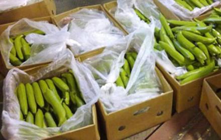 El banano que se iba al mercado comunitario europeo se comercializa en Argelia y China.