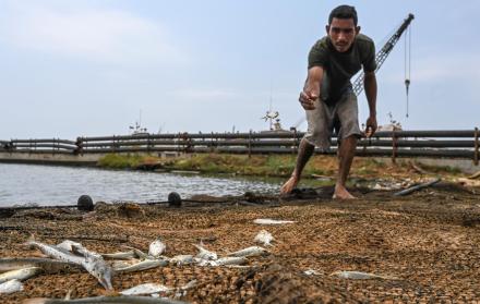 Escasez. Un pescador ve la exigua pesca en su red en el contaminado lago Maracaibo, en el estado de Zulia.