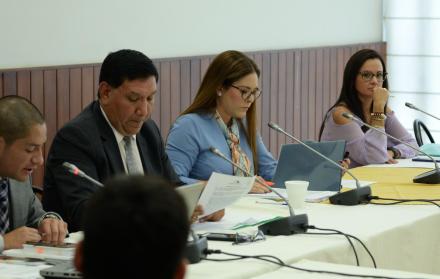 Comisión. El secretario gasta saliva leyendo informes. Fausto Terán, María Mercedes Cuesta y Marcela Aguiñaga se preparan para la batalla. 