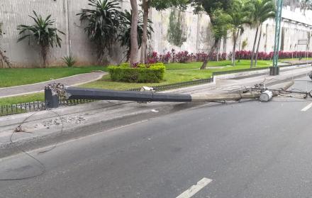 La caída de un árbol y tres postes congestionaron la Carlos Julio Arosemena